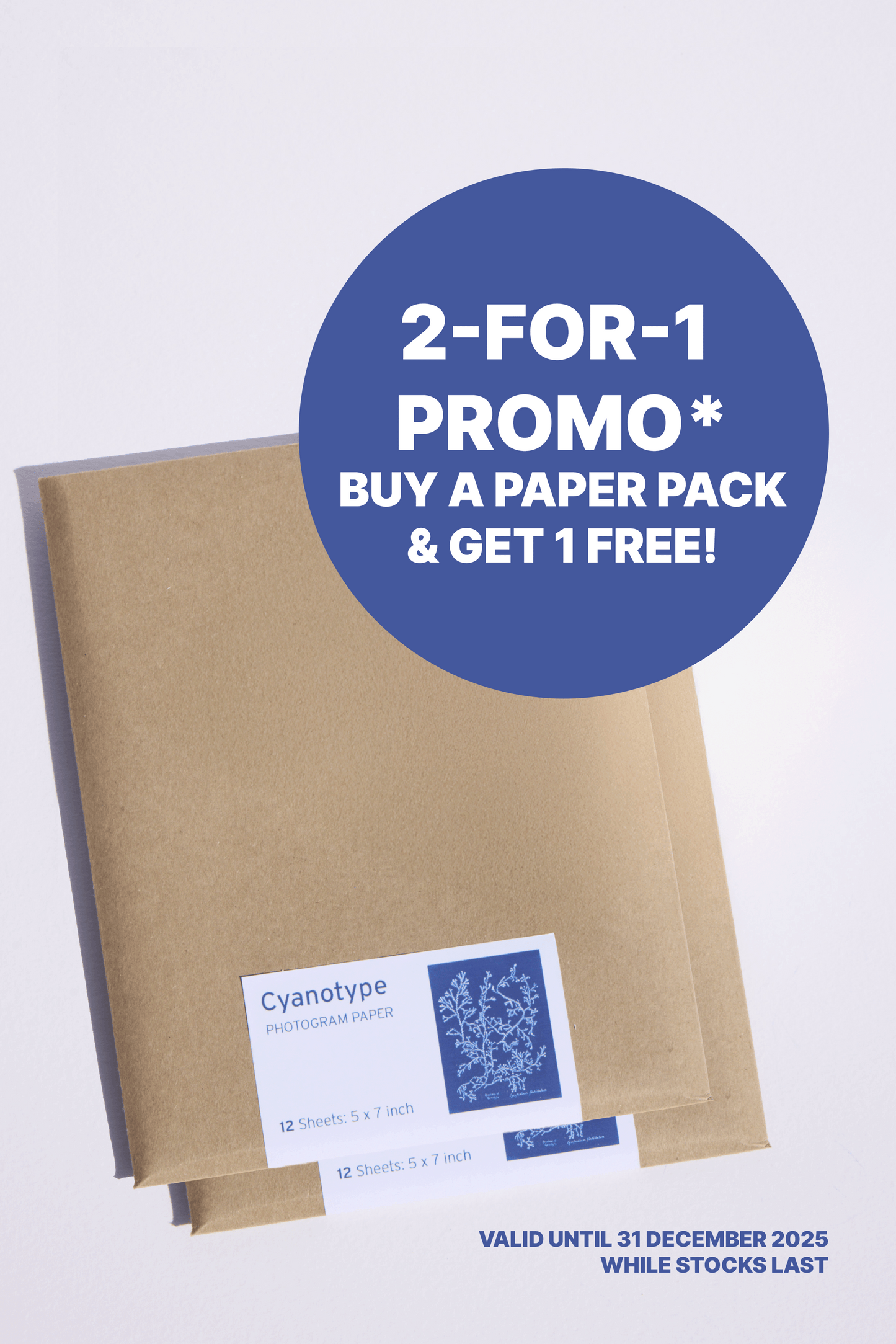 Cyanotype Photogram Paper